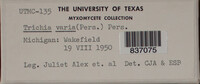 Image Associated With the Occurence
